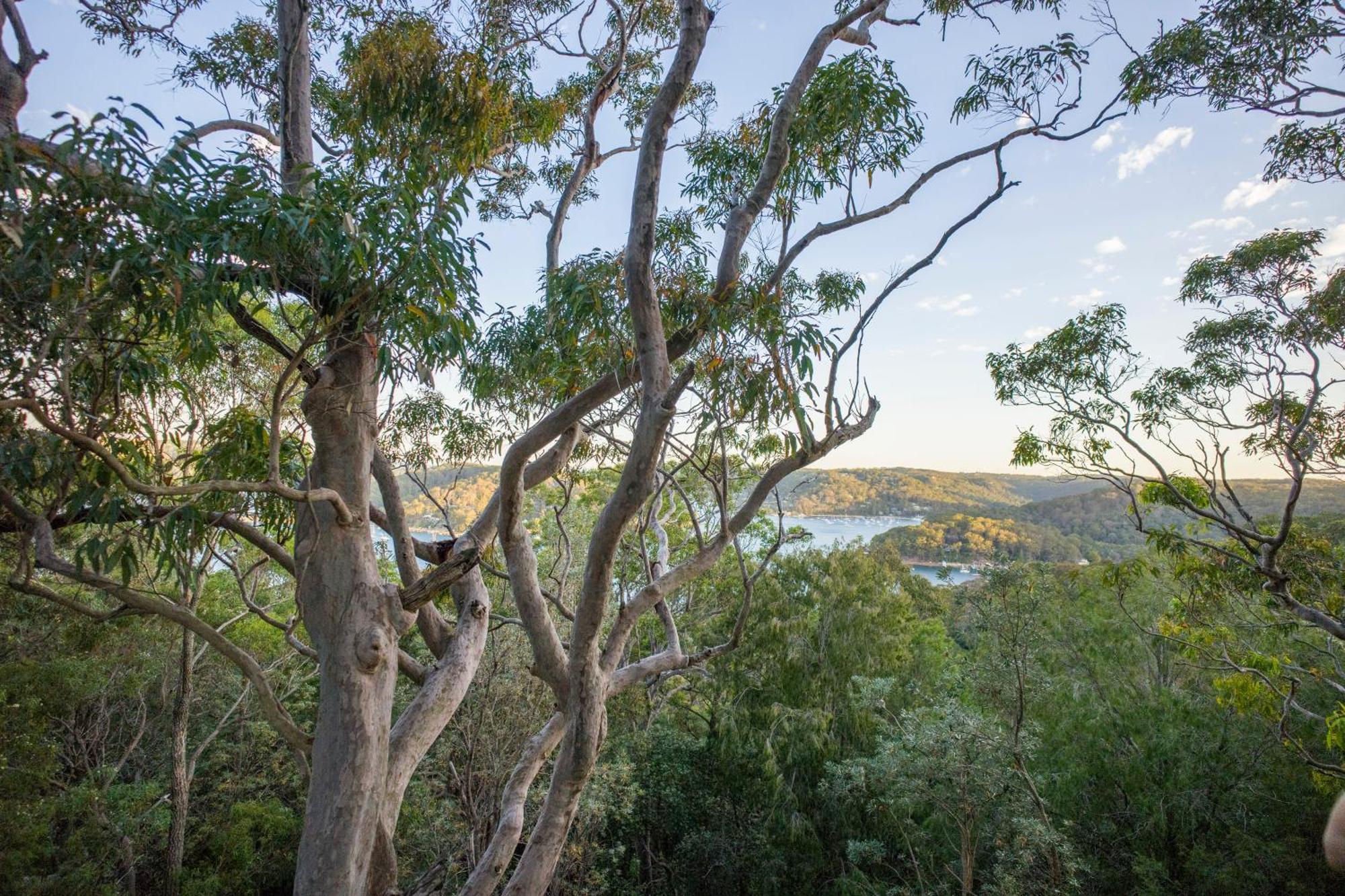 Yha Pittwater Eco, Sydney Hostel Church Point Luaran gambar